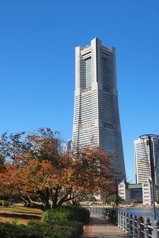 1027_汽車道_神奈川