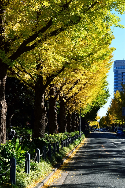 1032_山下公園_神奈川