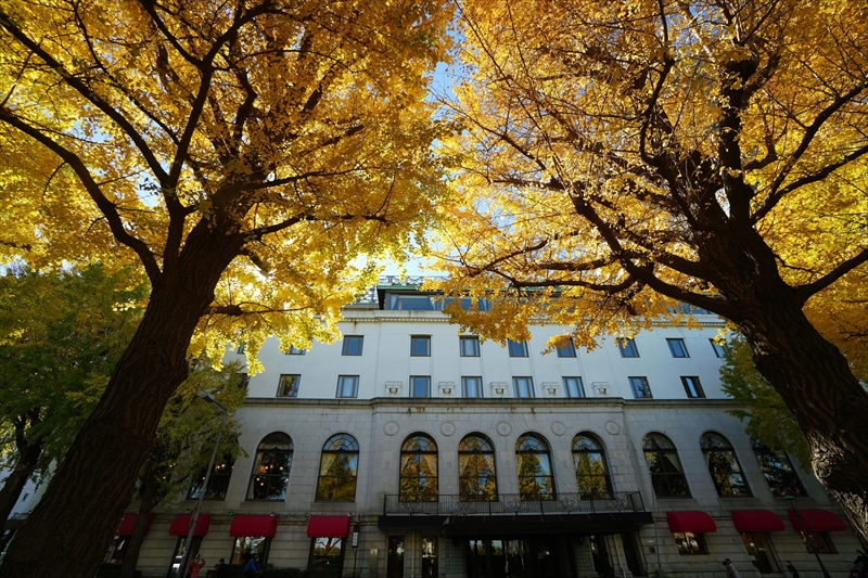 1033_山下公園_神奈川