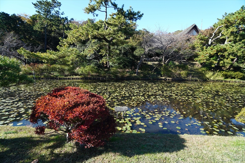 1042_三渓園_神奈川