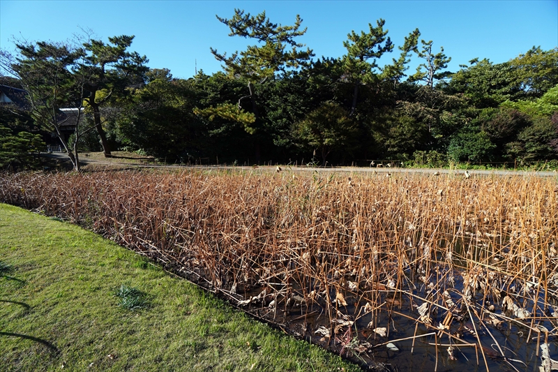 1043_三渓園_神奈川