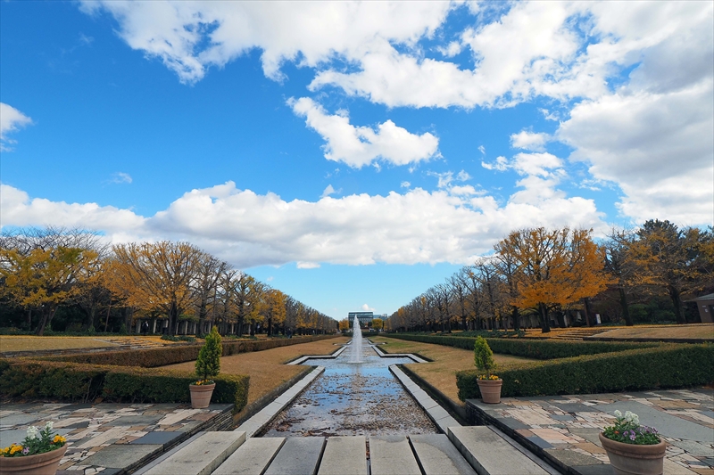 1134_昭和記念公園_東京