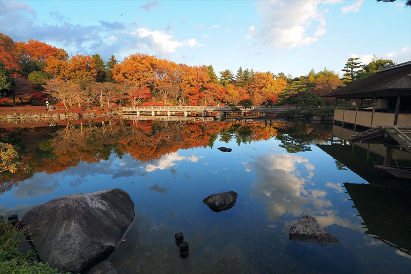 1175_昭和記念公園_東京