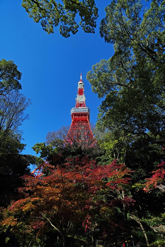 1003_芝公園_東京