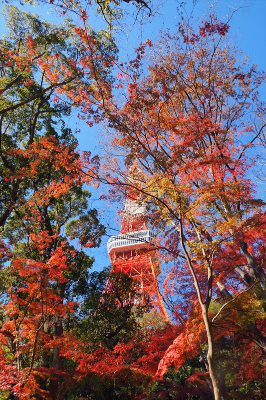 1010_芝公園_東京