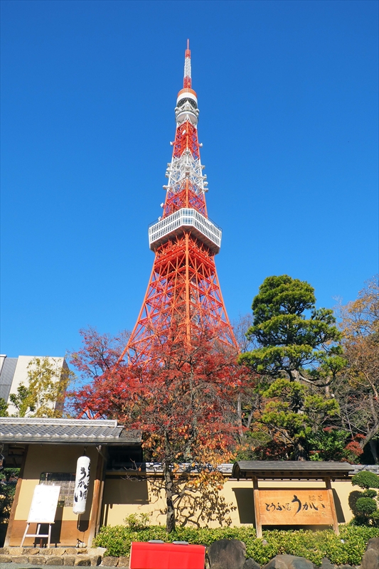 1012_芝公園_東京
