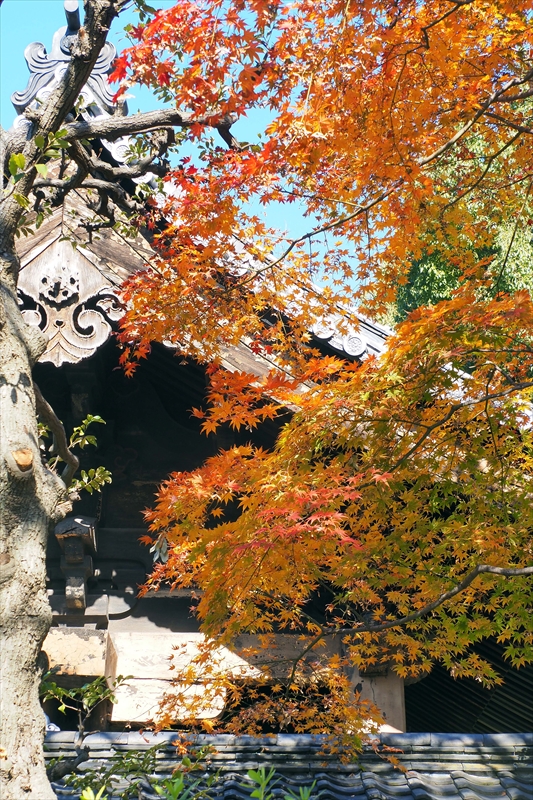 1054_増上寺_東京