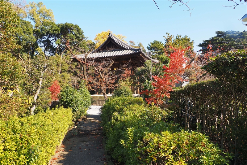 1070_増上寺_東京
