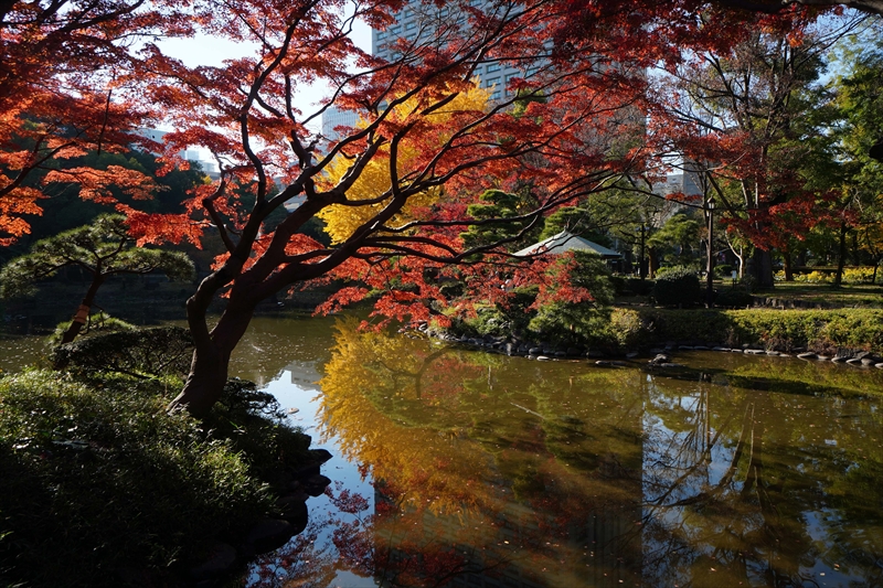 1044_日比谷公園_東京