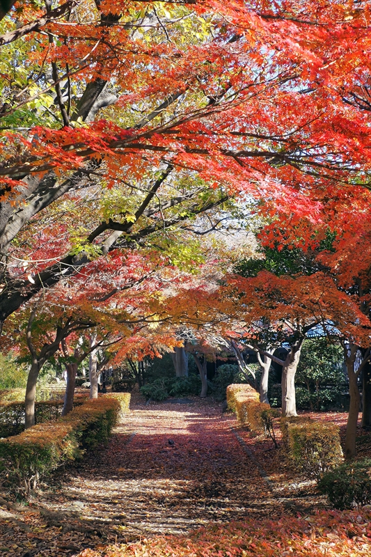 1190__横浜市新羽町_神奈川