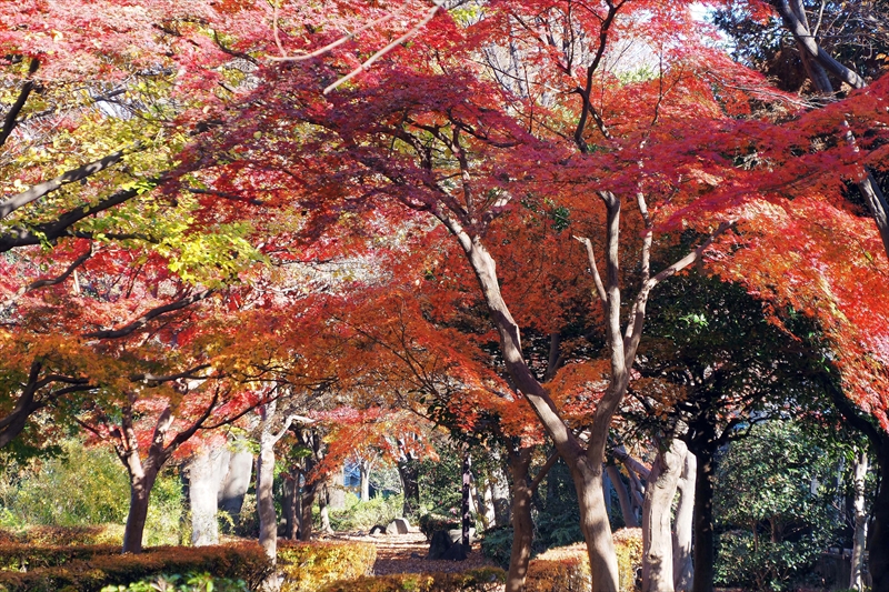 1191__横浜市新羽町_神奈川