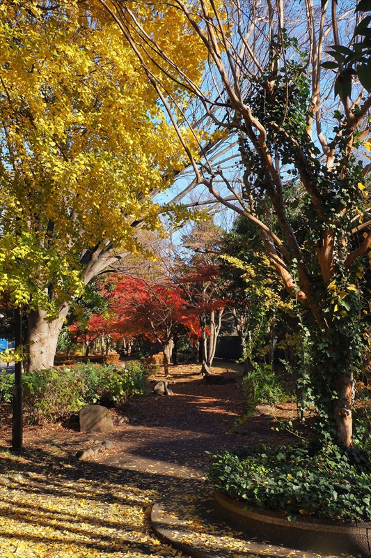 1192__横浜市新羽町_神奈川