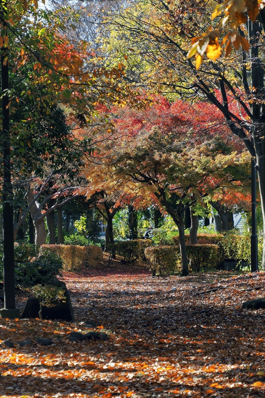 1196__横浜市新羽町_神奈川