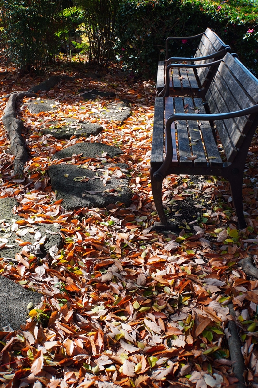 1198__横浜市新羽町_神奈川