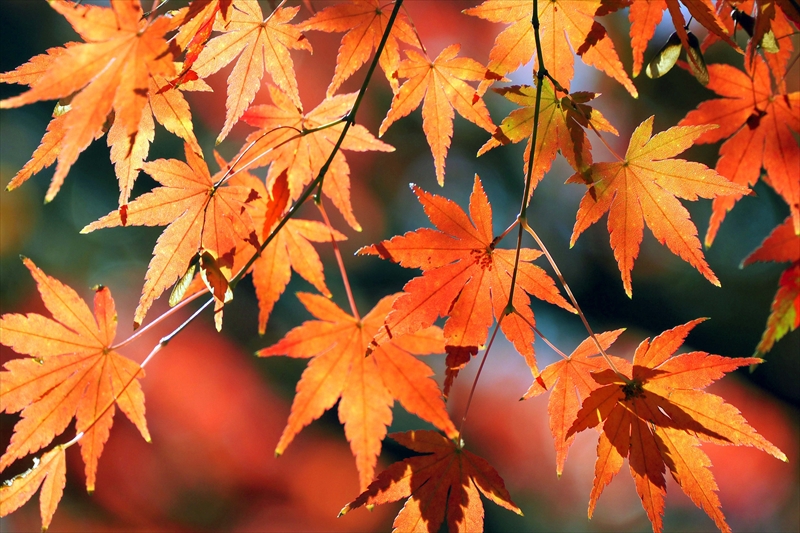 1202__横浜市新羽町_神奈川