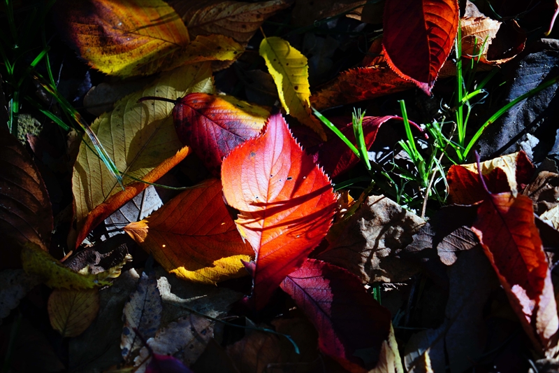 1204__横浜市新羽町_神奈川