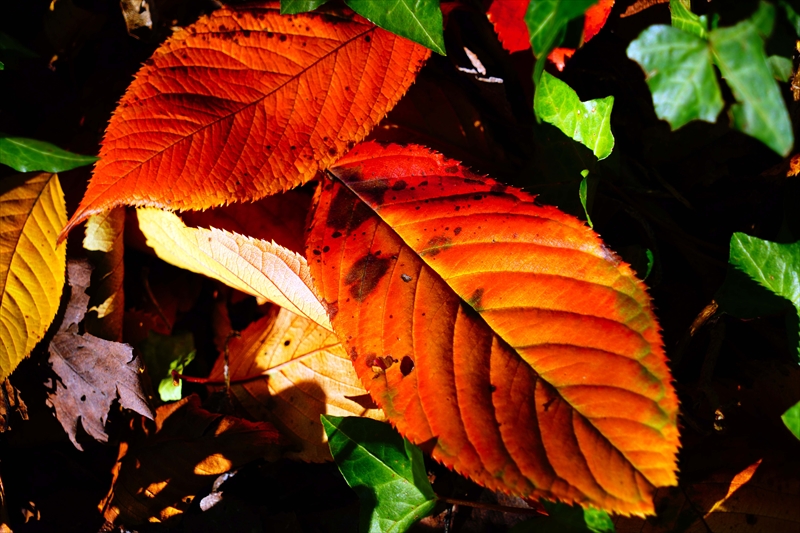 1205__横浜市新羽町_神奈川