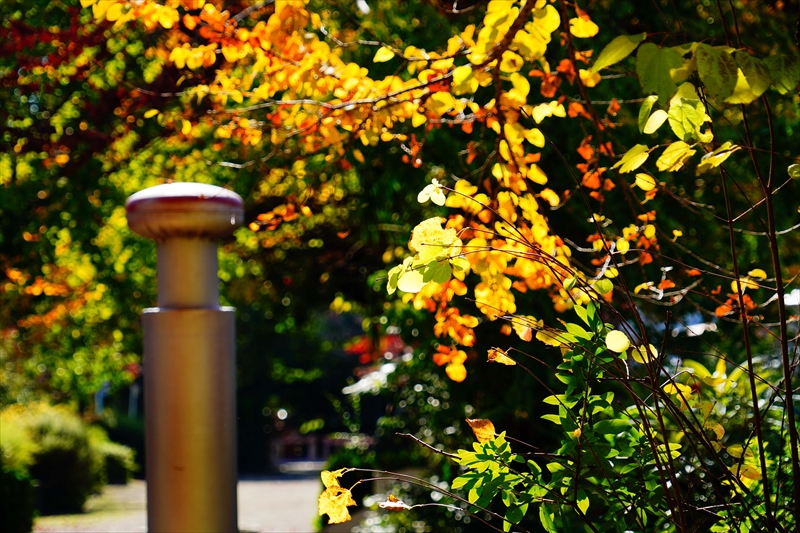 1206__横浜市新羽町_神奈川