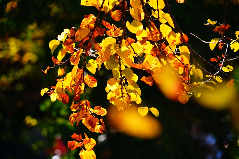 1207__横浜市新羽町_神奈川