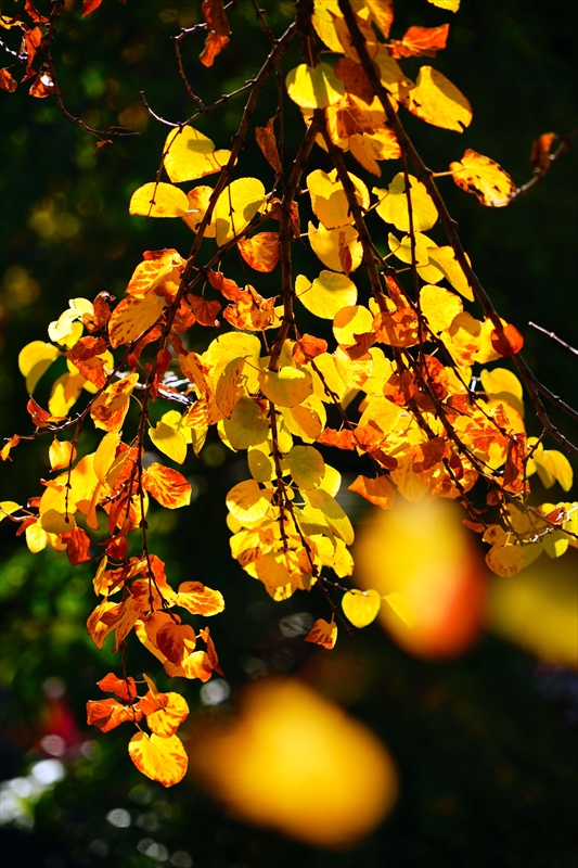 1208__横浜市新羽町_神奈川