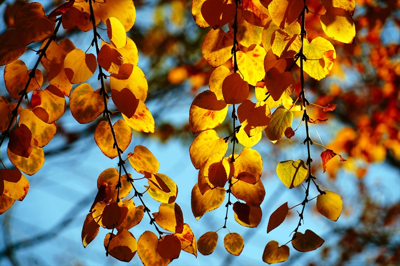 1210__横浜市新羽町_神奈川