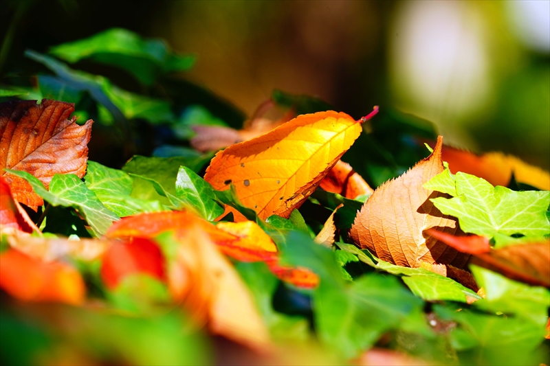 1211__横浜市新羽町_神奈川