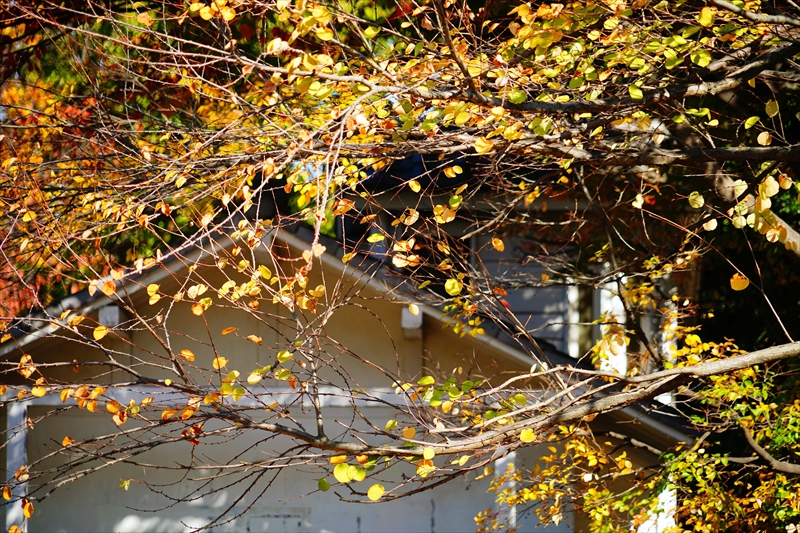 1212__横浜市新羽町_神奈川