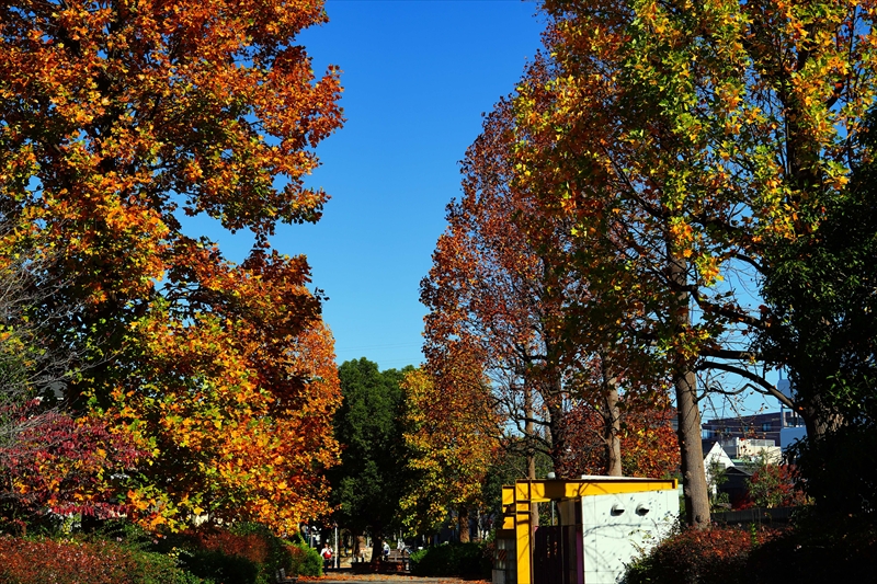 1213__横浜市新羽町_神奈川