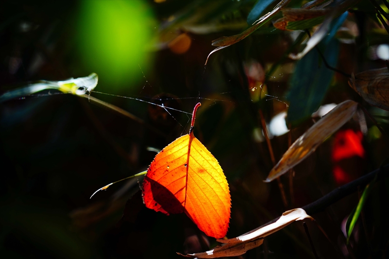 1214__横浜市新羽町_神奈川