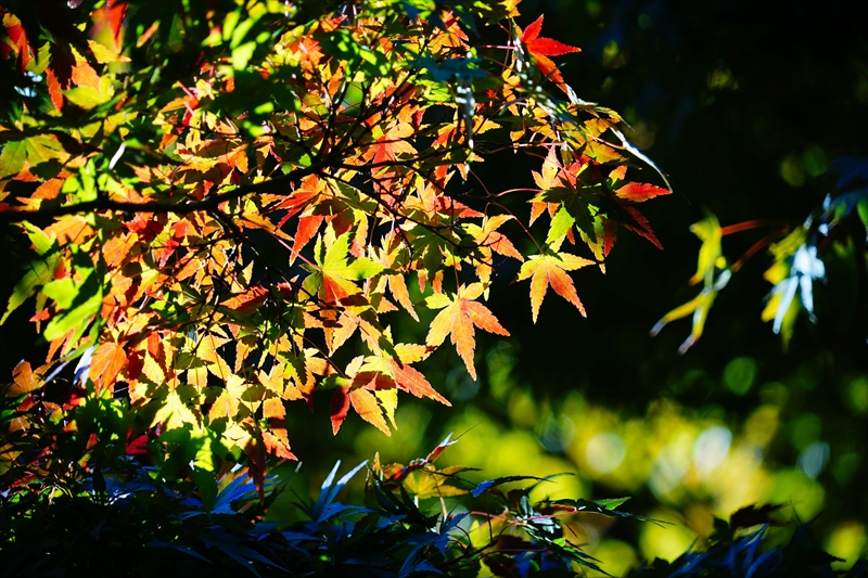 1215__横浜市新羽町_神奈川