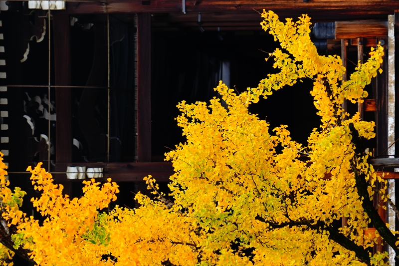 1029_洛中 東本願寺_京都