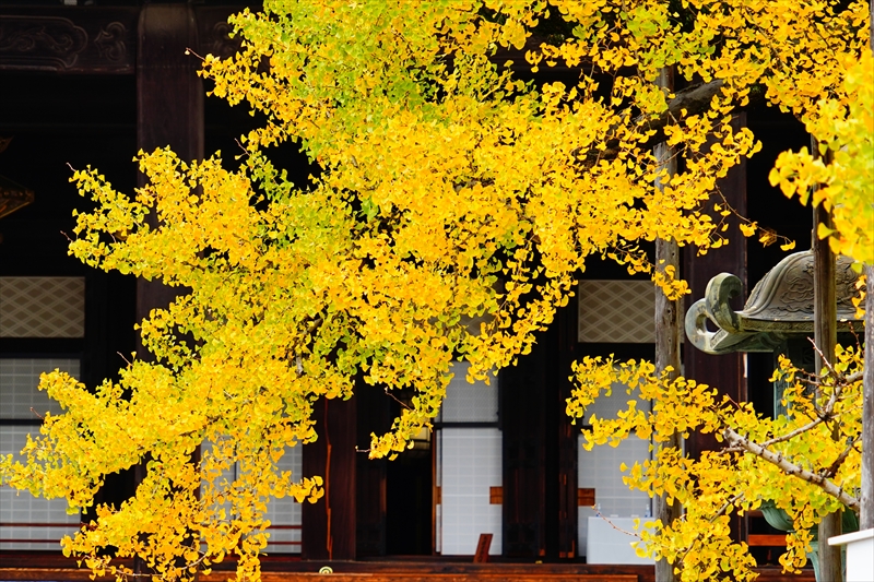 1030_洛中 東本願寺_京都