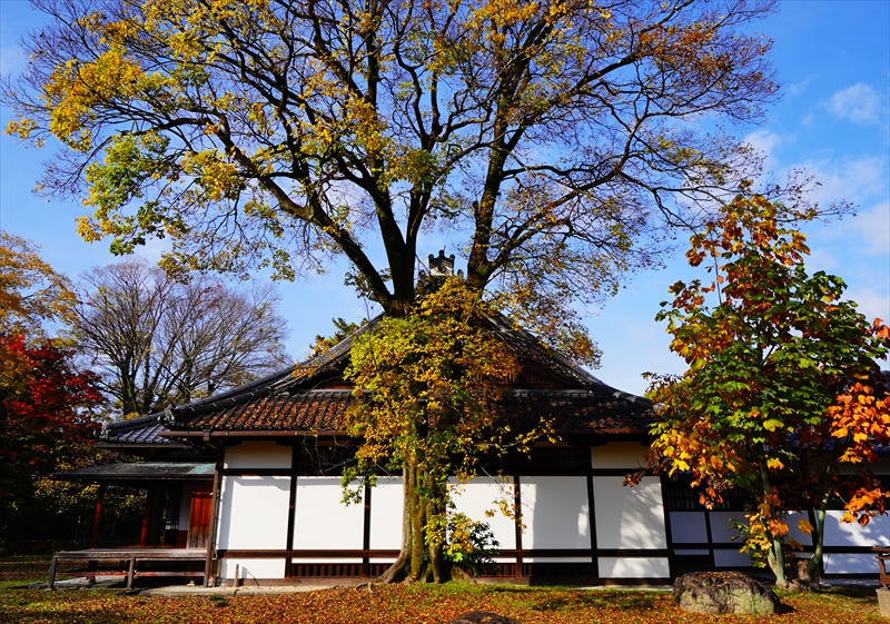 1057_洛中 京都御苑_京都