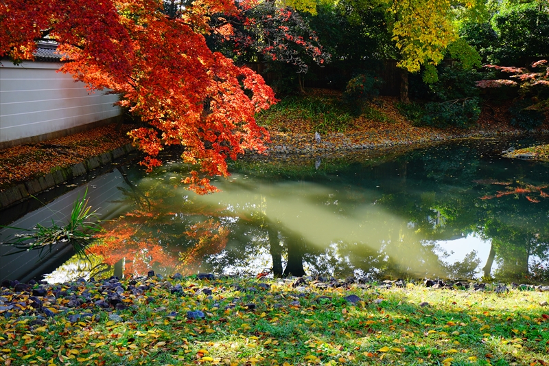 1058_洛中 京都御苑_京都