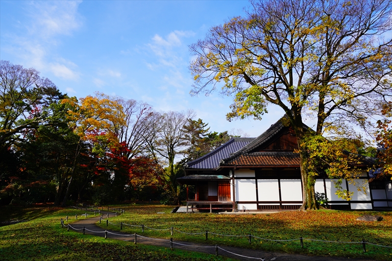 1059_洛中 京都御苑_京都