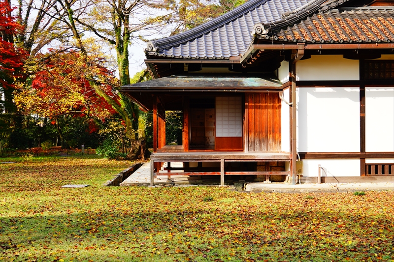 1060_洛中 京都御苑_京都