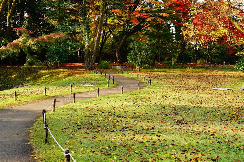 1061_洛中 京都御苑_京都