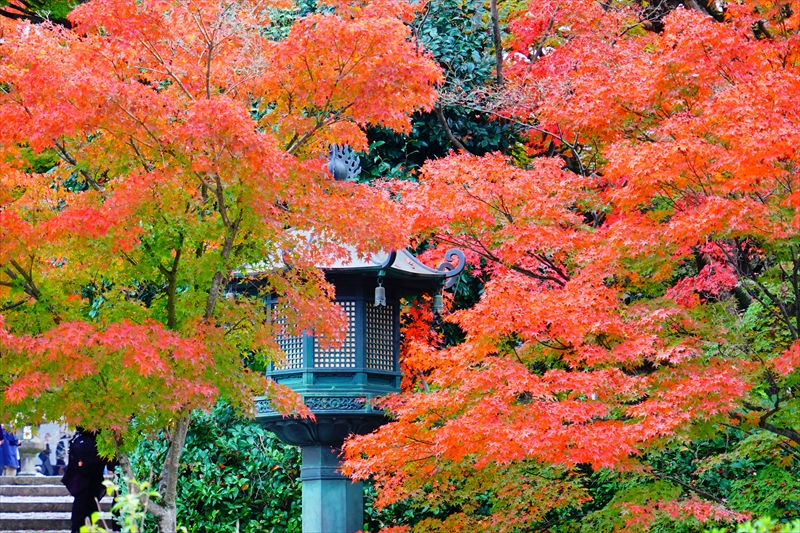 1102_洛東 真正極楽寺 (真如堂)_京都
