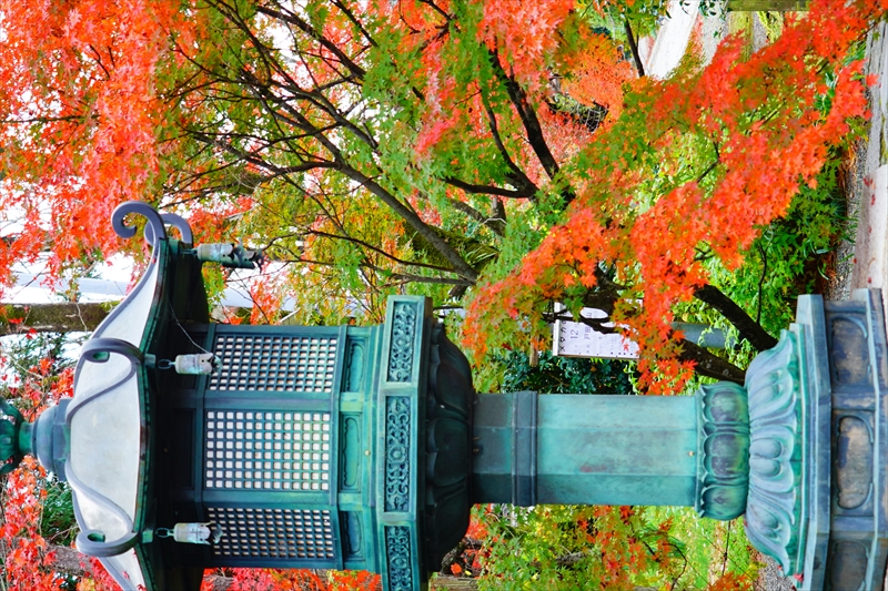 1104_洛東 真正極楽寺 (真如堂)_京都