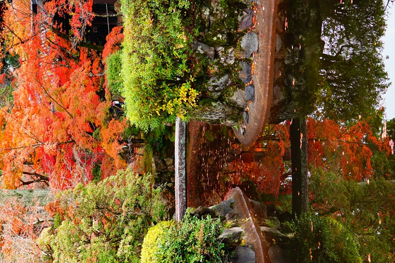 1121_洛東 真正極楽寺 (真如堂)_京都