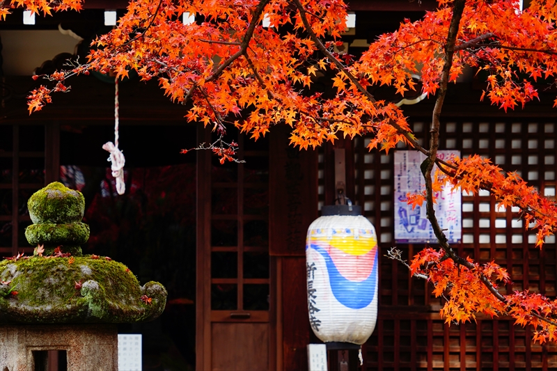 1122_洛東 真正極楽寺 (真如堂)_京都