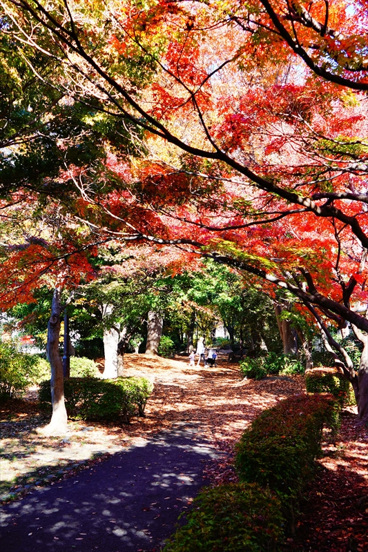 1216__横浜市新羽町_神奈川
