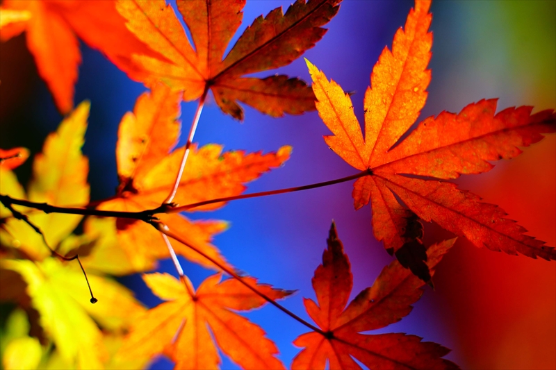 1220__横浜市新羽町_神奈川