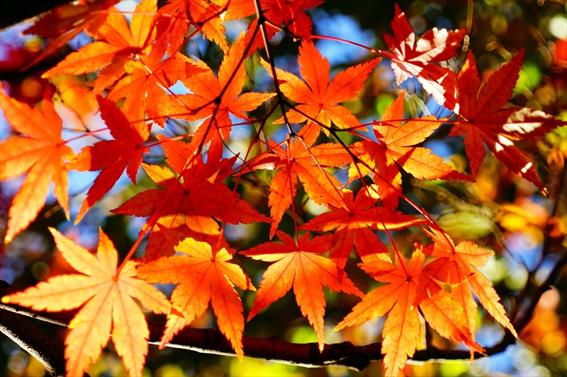 1224__横浜市新羽町_神奈川