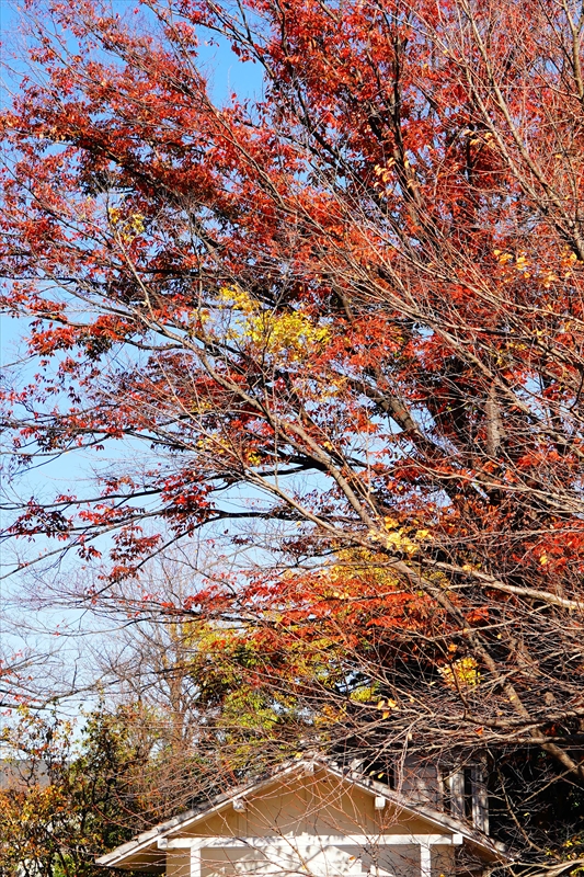 1225__横浜市新羽町_神奈川