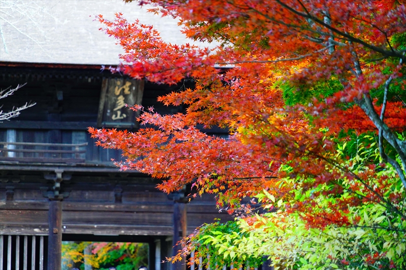 1013_法多山尊永寺_静岡