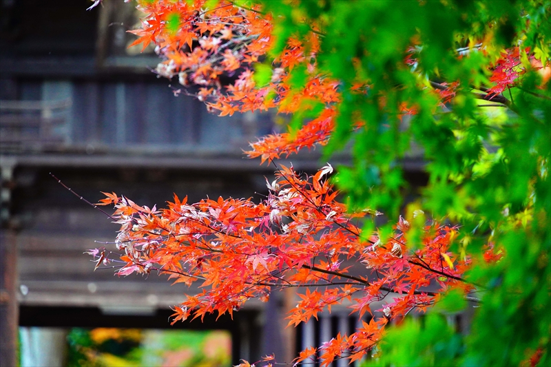 1014_法多山尊永寺_静岡