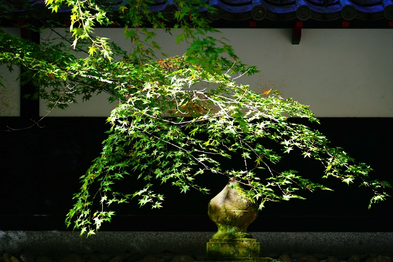 1021_法多山尊永寺_静岡