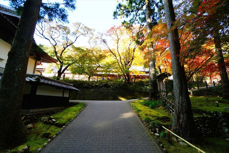 1027_法多山尊永寺_静岡