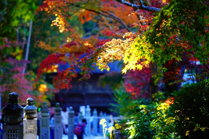 1041_法多山尊永寺_静岡